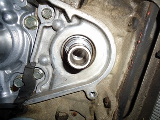 DSC09344.jpg