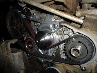 DSC09350.jpg