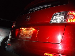DSC09887.jpg
